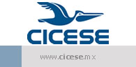 Cicese